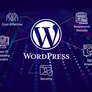 website development through wordpress